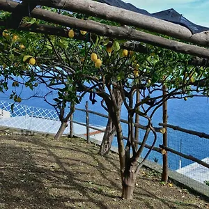 https://chez-amelie.hotels-amalfi.com